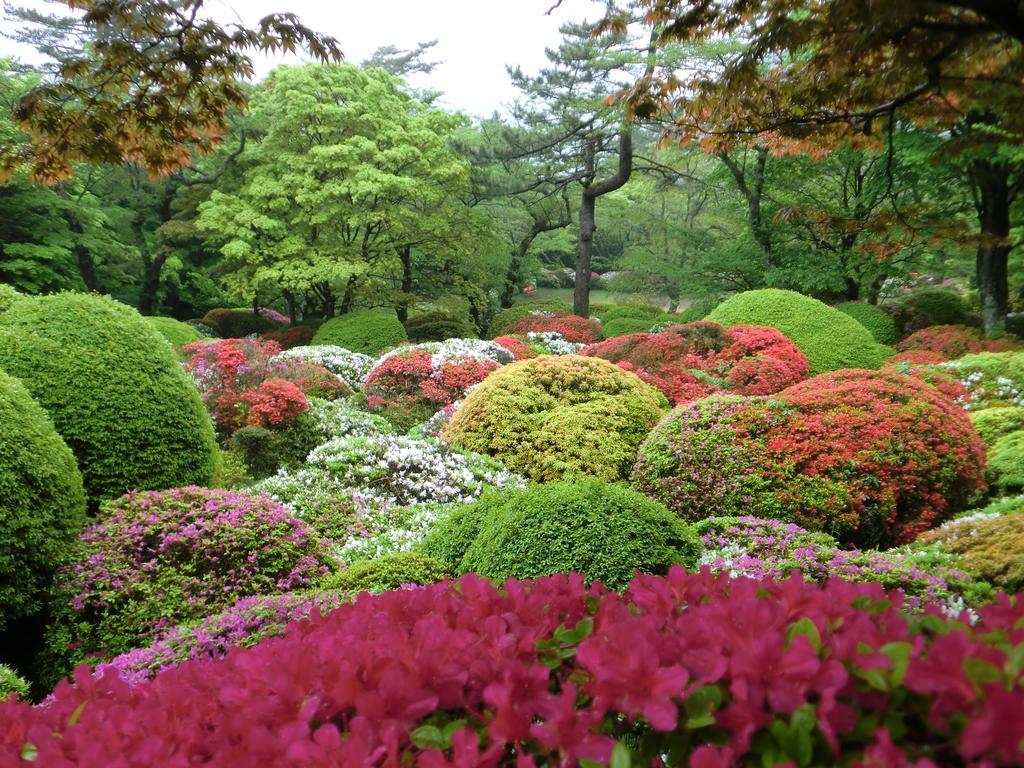 Отель Hakone Kowakien Miyamafurin Экстерьер фото