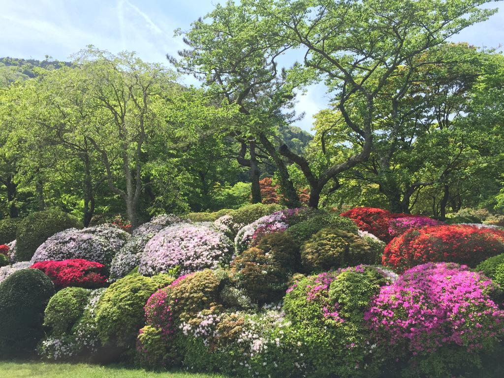 Отель Hakone Kowakien Miyamafurin Экстерьер фото