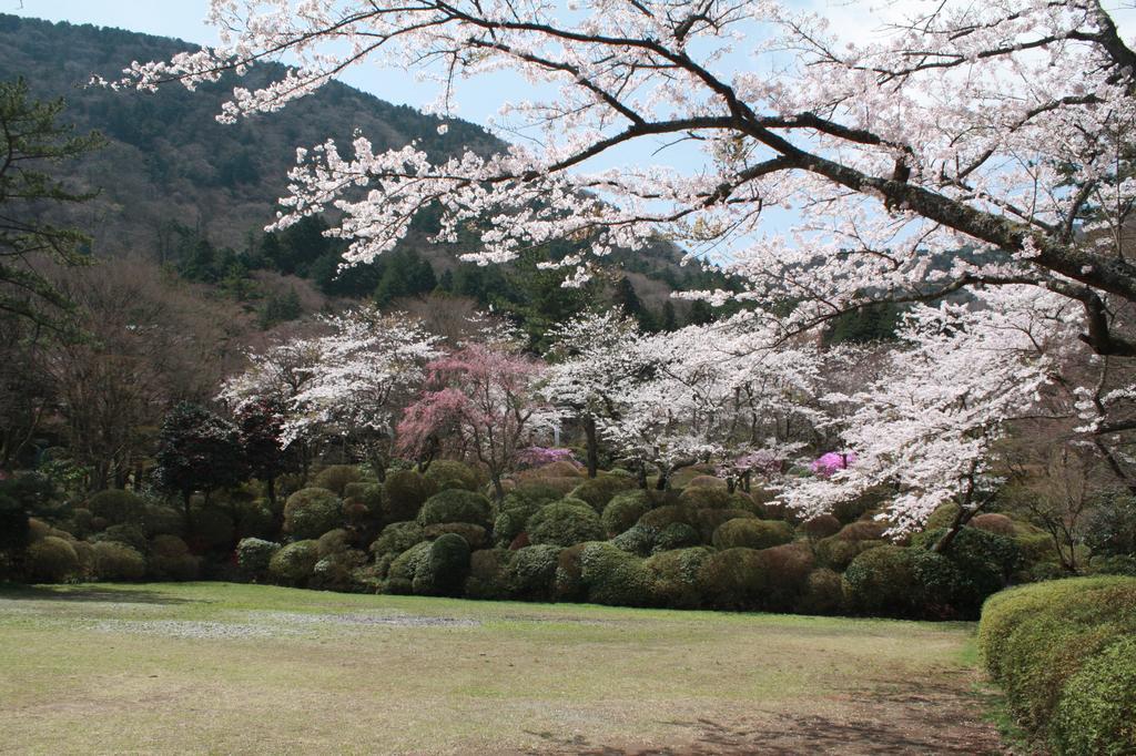 Отель Hakone Kowakien Miyamafurin Экстерьер фото