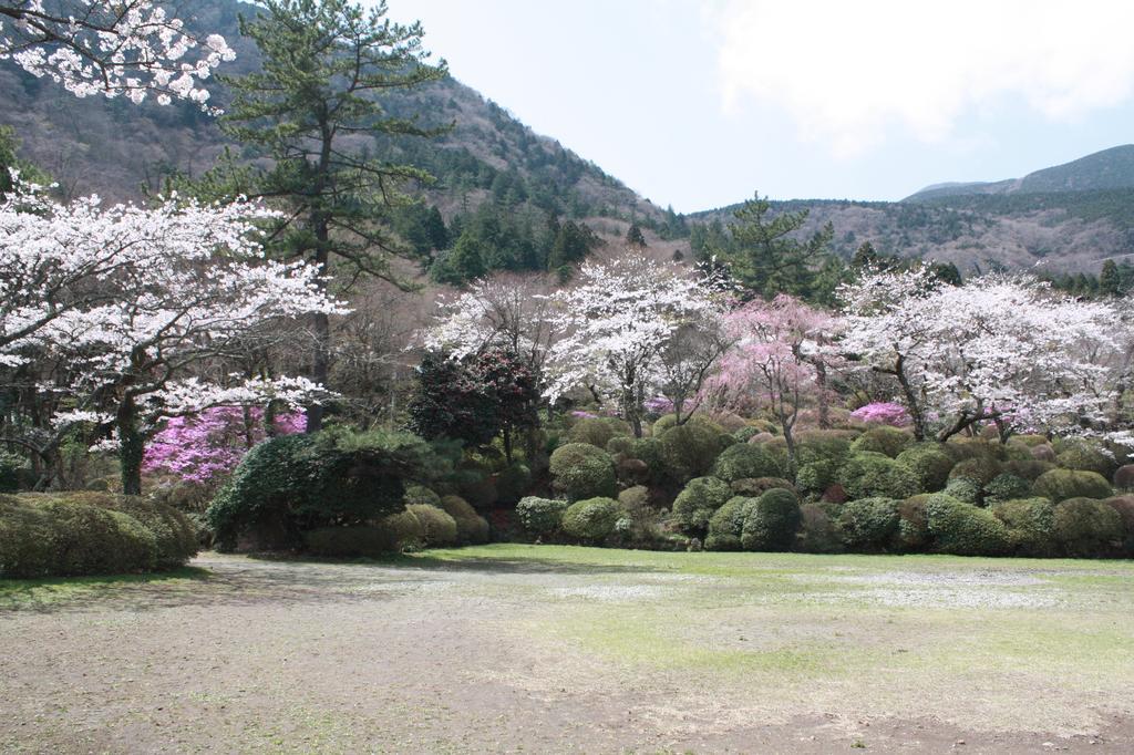 Отель Hakone Kowakien Miyamafurin Экстерьер фото